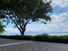 -宝安西湾红树林湿地公园