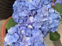 -何适山庄 ·可团建(水长城P2停车场店)