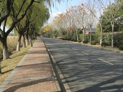 -太阳岛度假酒店