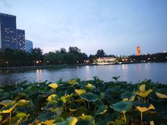 -西海子公园