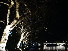 -运河游船(武林门码头)