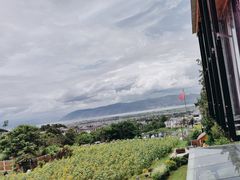 -云禾壹海景庄园餐厅