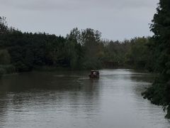 -溱湖国家湿地公园