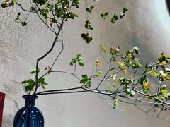 -Jeans Coffee牛仔裤咖啡