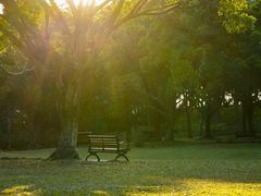 -莲花山公园