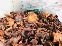 -黑河国家森林公园