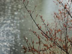 -韩湘水博园