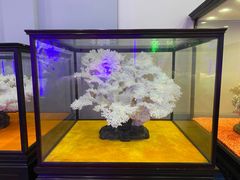 -游龙石文化科普馆