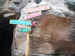 -杭州开元森泊度假乐园