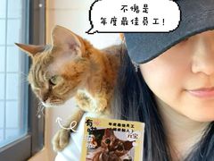 -有喵·猫咖·狗咖·30几只猫10只小狗(岗厦店)