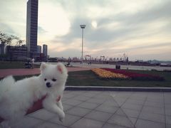 -东港音乐喷泉广场