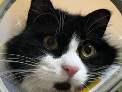 -拜鲁耶动物诊疗中心·宠家动物医院