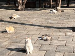-四门塔风景区