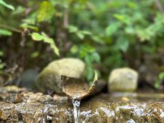 -农夫山泉峨眉山工业旅游示范基地