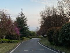 -铁山坪森林公园