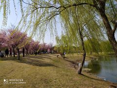 -漕湖湿地公园