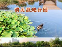 -前关湿地公园