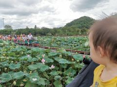 -红山村