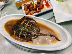 鲜老板鱼-郑庄脂渣海鲜楼(九水路店)