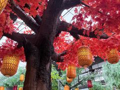 -小江南(万福园店)
