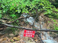 -五女峰国家森林公园