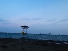 -碧海金沙