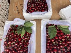 -大连果菜批发市场