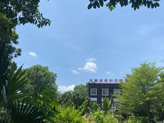 -东寨港红树林旅游区