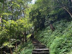 -严子陵钓台(富春江小三峡)