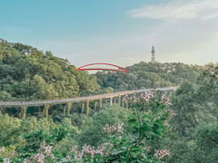 -金鸡山公园