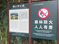 -亚龙湾热带天堂森林公园