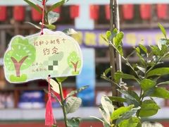 -金豆子幼稚园