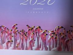 -好利来(红旗万达店)