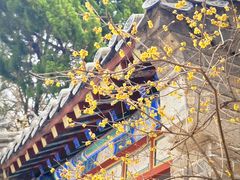 -青岛崂山太清宫