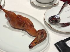 -东富酒家(龙湖西溪天街店)
