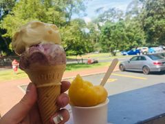 -馬車會海鮮酒樓