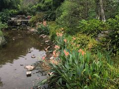 -龙头寺公园