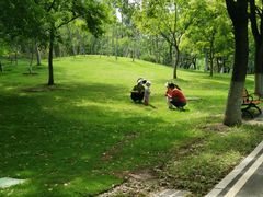 -堤角公园