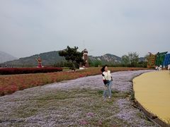 -西海岸生态观光园