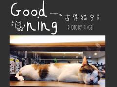 -六合夜市
