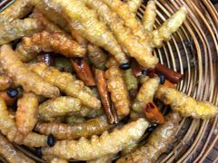 -昆虫窝子·特色云南菜(拓东路总店)