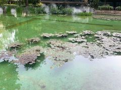 -静安公园(静安寺街道)