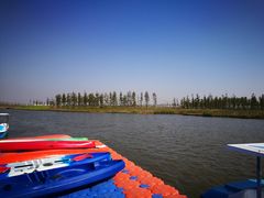 -春花秋色城市公园