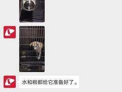 -PETKIT小佩宠物·低压洗护(国顺东路店)