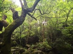-浙北大峡谷