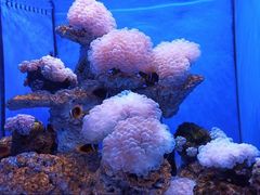 -多彩贵州城极地海洋世界