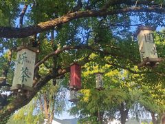 -东钱湖旅游度假区