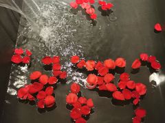 -三亚太阳湾柏悦酒店
