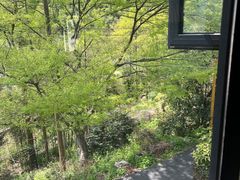 -WILDS 野有食(碧坞店)