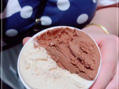 -Dip in Gelato(富民路店)